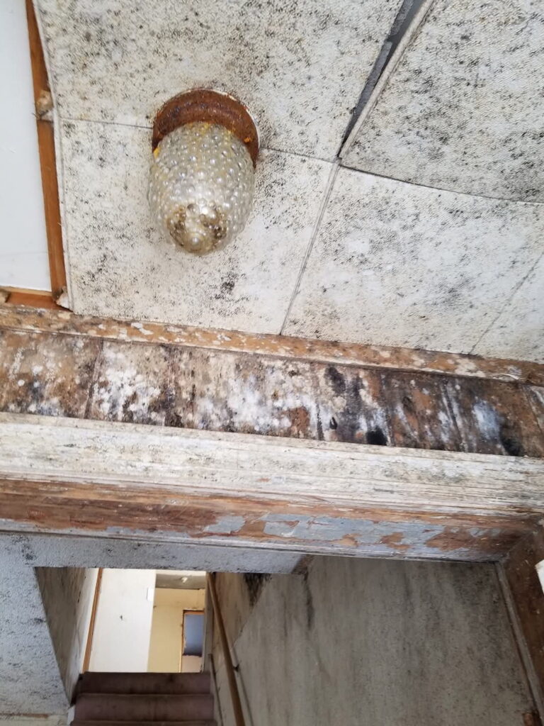 Mold growth on interior surfaces identified during a professional mold inspection in northern Minnesota